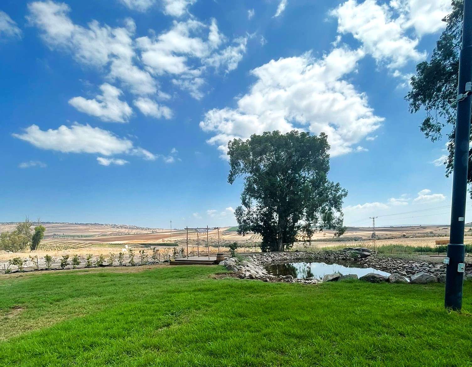 אדמה ושמיים